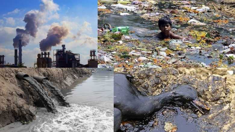 Cómo cuidar el medio ambiente en 6 claves