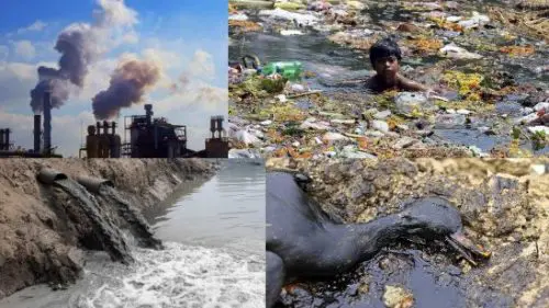 Aprende a cuidar el medio ambiente mejor con estos consejos 25 evitar la contaminacion