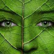 Día mundial del medio ambiente