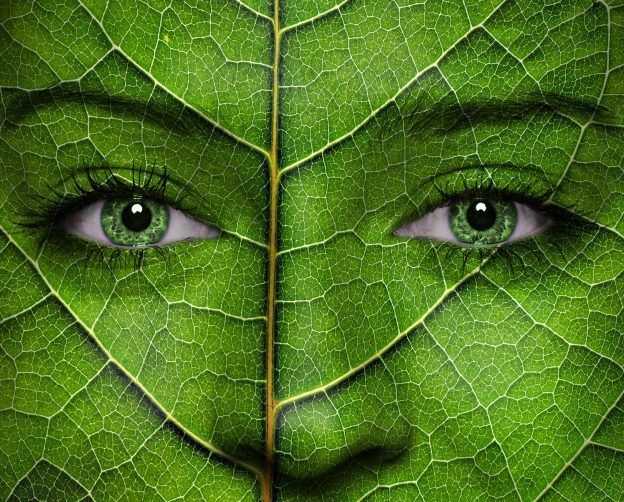 Día mundial del medio ambiente