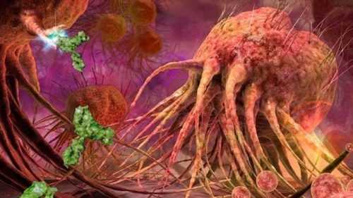 El tratamiento de la metástasis en los órganos internos, piel y cerebro
