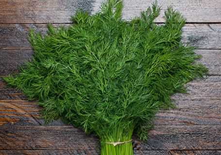 hinojo para los ojos rojos