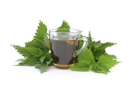 Conoce las formas para bajar los niveles de acido úrico 6 acido urico