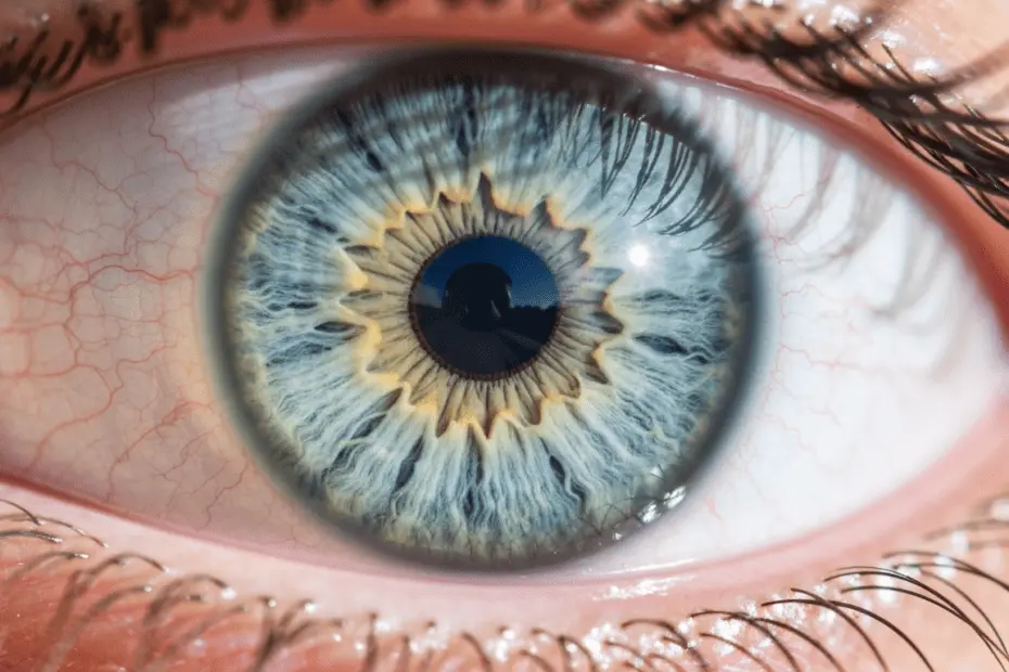 Close-up photorealistic image of a healthy human eye with clear lens and detailed iris structure, showing perfect transparency and light reflection, natural lighting, medical illustration style