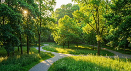 Photorealistic wide-angle view of a lush green park with dense trees, sunlight filtering through leaves, and a walking path. No text or logos. High detail, vibrant colors.